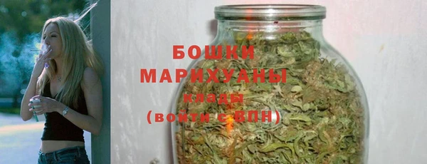 дурь Няндома