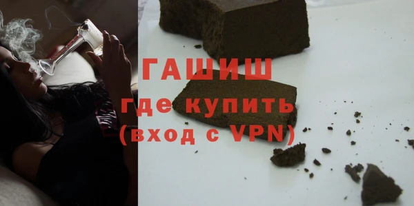 индика Нягань