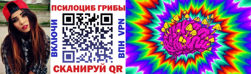Псилоцибиновые грибы Psilocybine cubensis  Рудня 