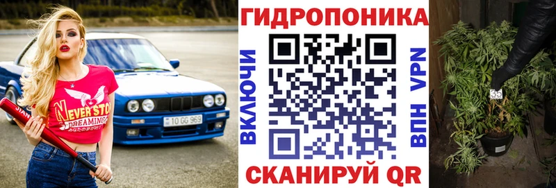 Бошки Шишки семена  MEGA ТОР  Рудня 